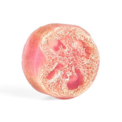 Pink Grapefruit Exfoliating Loofah Soap