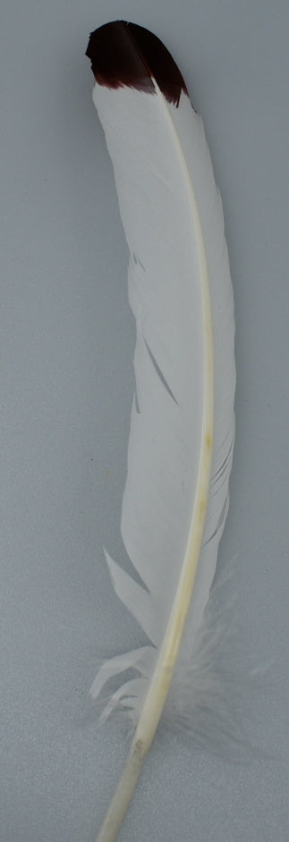 Imitation Eagle Feather