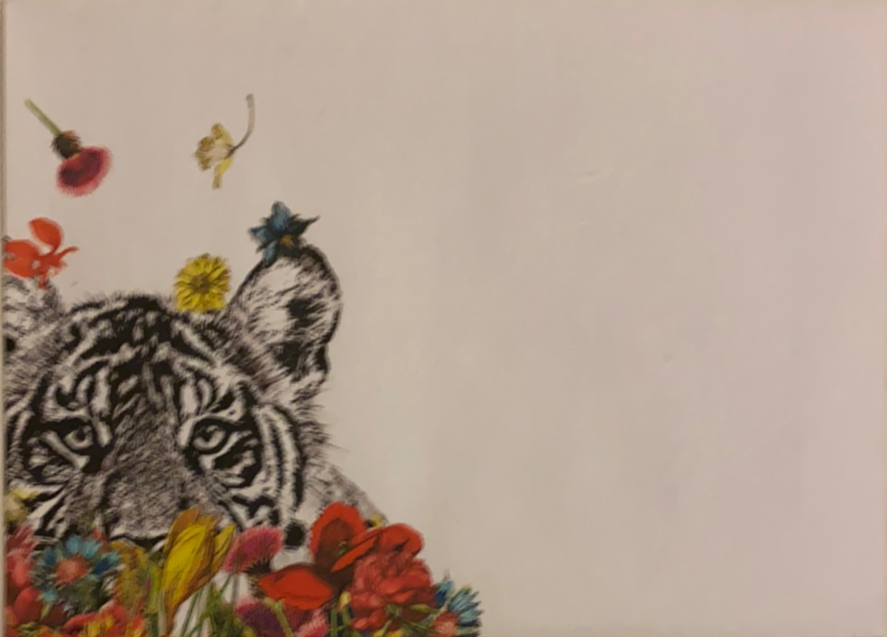 White Tiger Flowers Greeting Cards