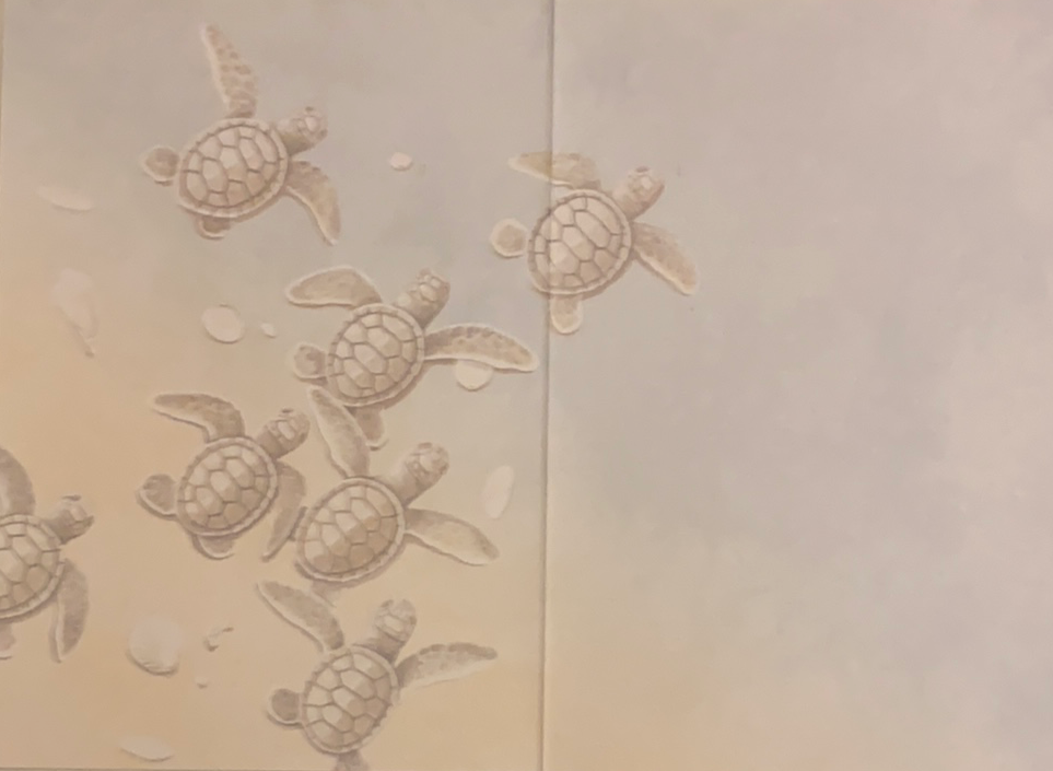 blank inside with baby turtles on left side 