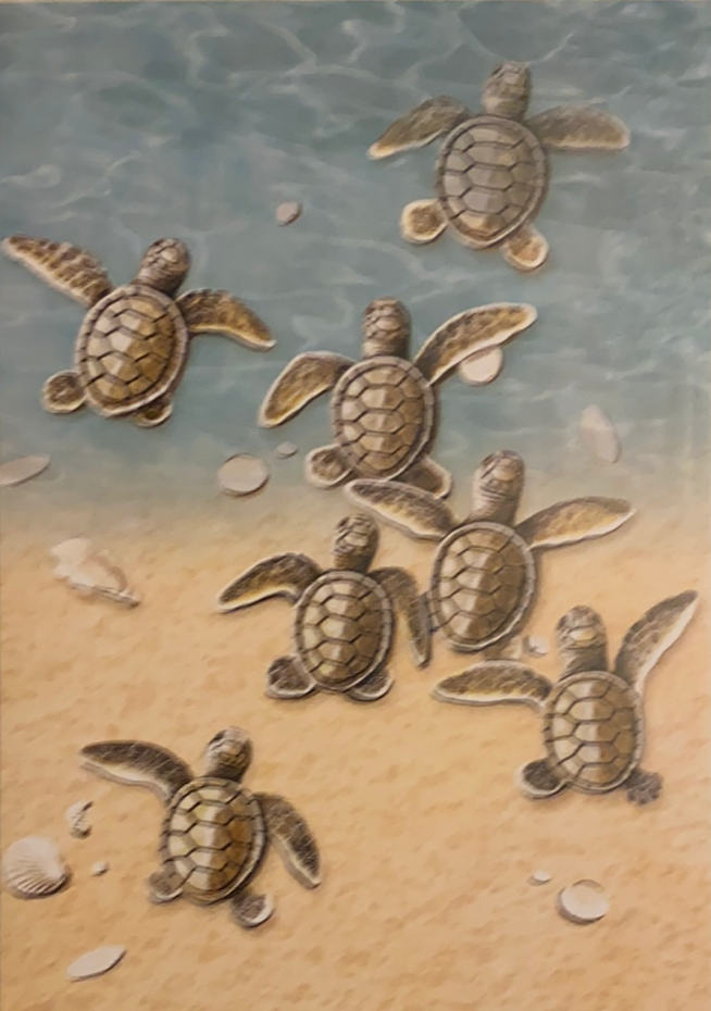 drawing of baby turtles crawling to ocean 