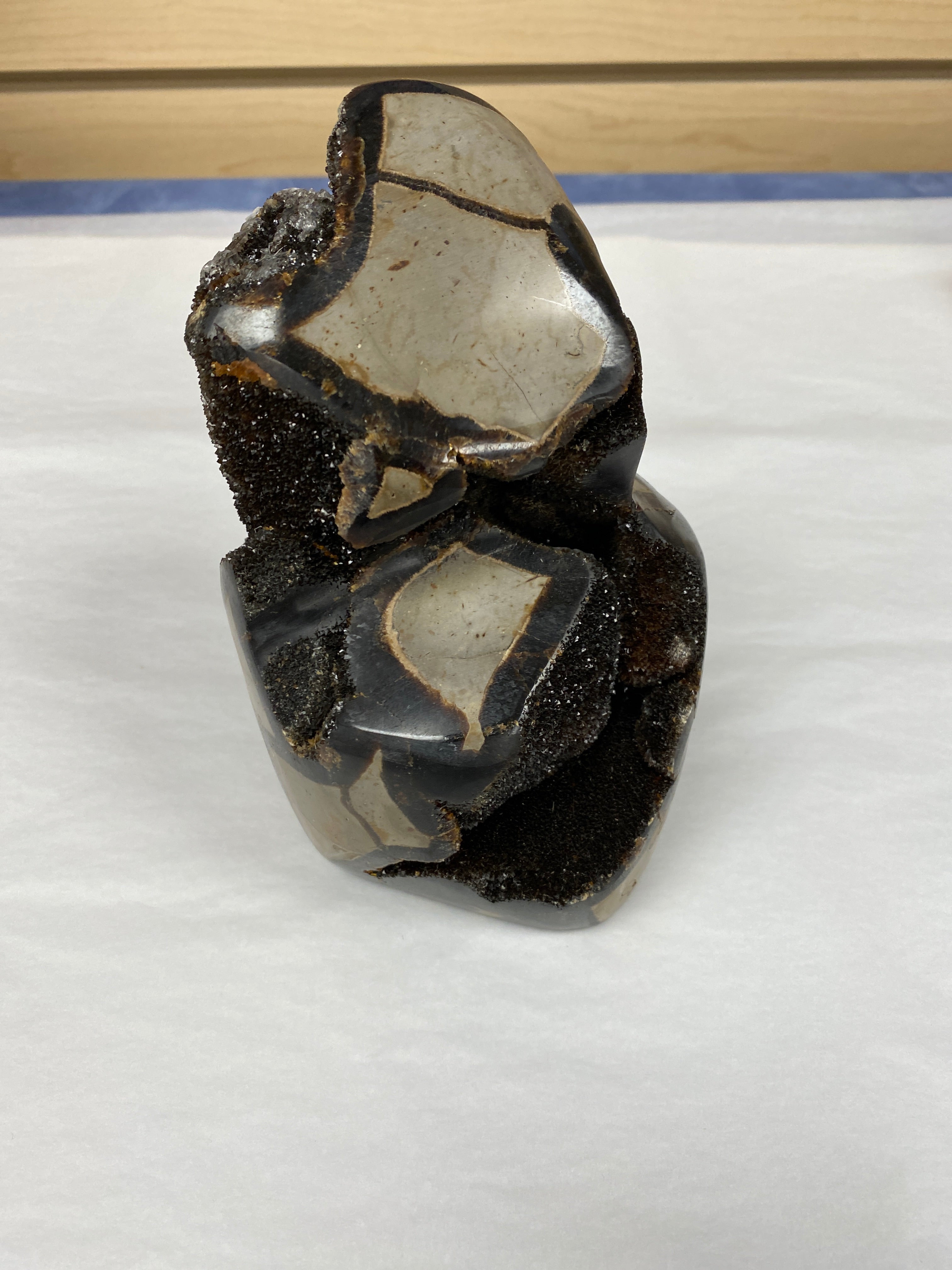 Septarian Geode md