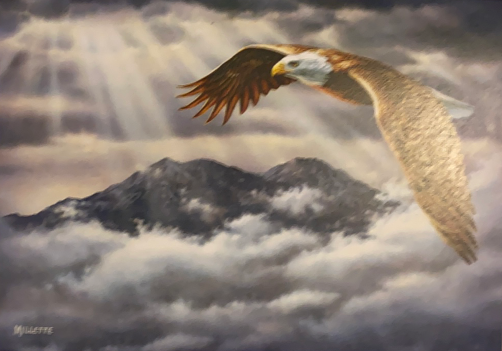 eagle flying over mountains 