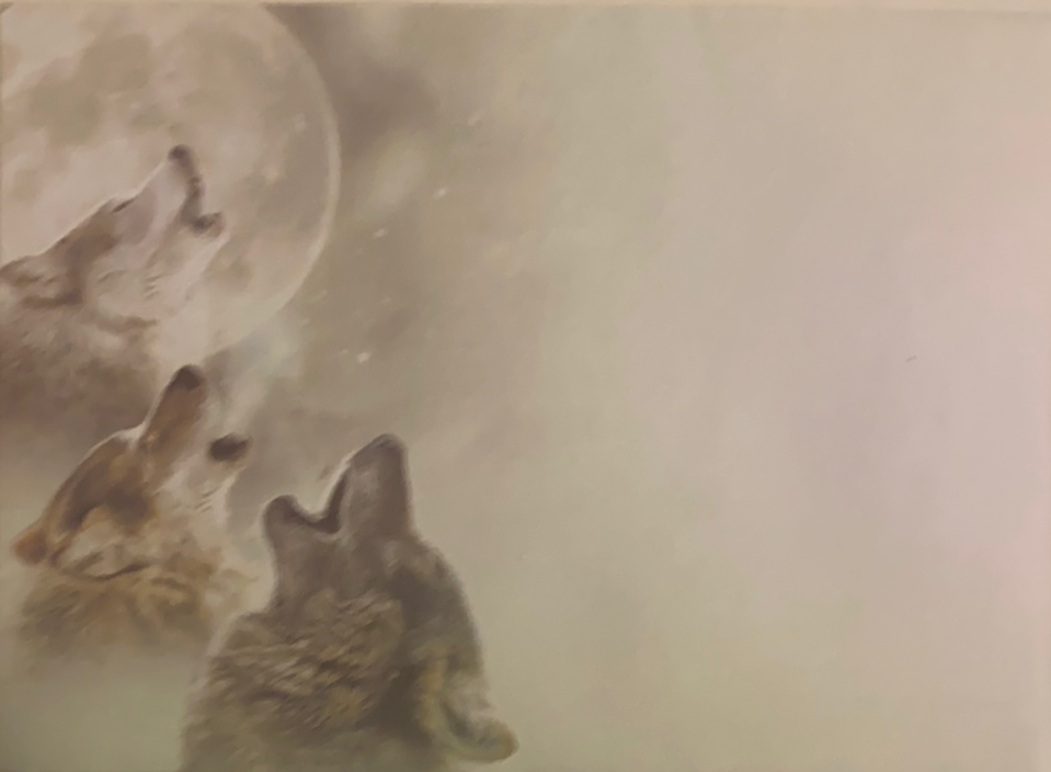 Envelope in shadowy silver 3 wolves howling at moon 