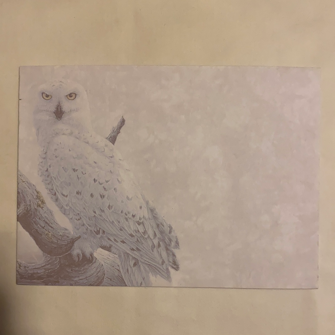 Snowy Owls Greeting Cards