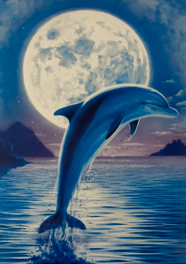 Blue card dolphin jumping out in front of a full moon 