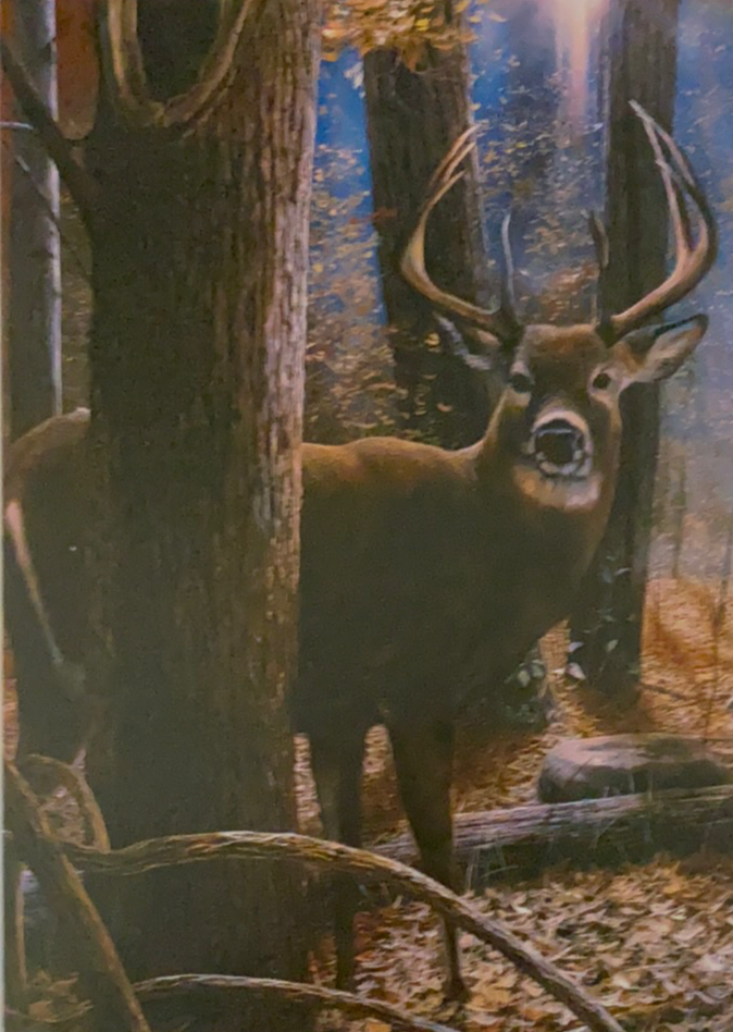 large buck behind a tree 