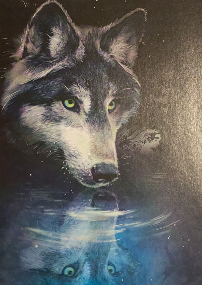 Wolf Reflection Greeting Cards