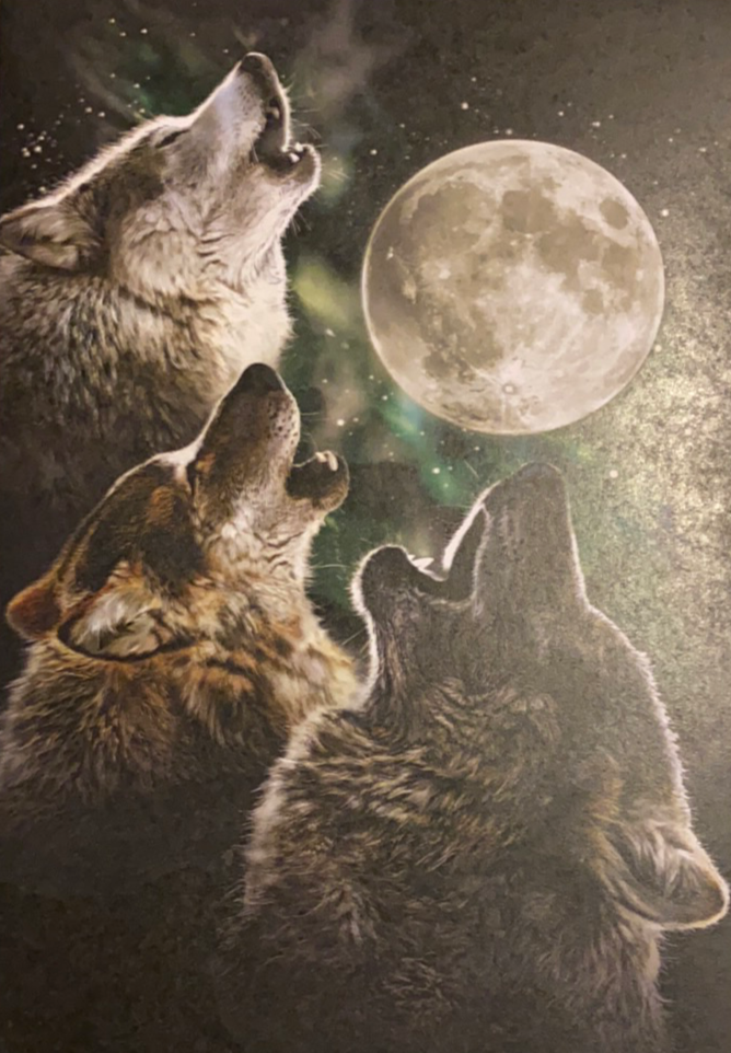 Three Wolf Moon Greeting Cards