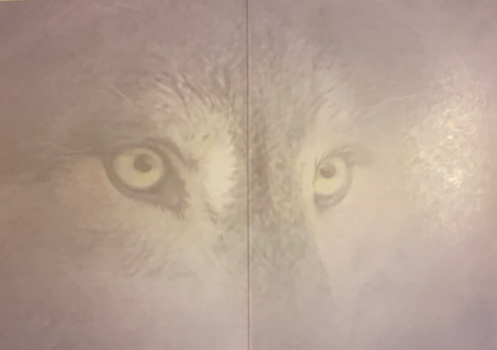 Wolf Reflection Greeting Cards