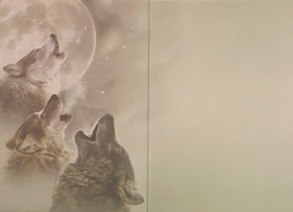 inside same 3 wolves with blank space
