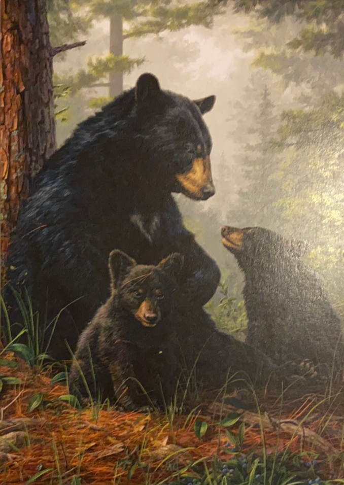mother bear and cubs under a tree