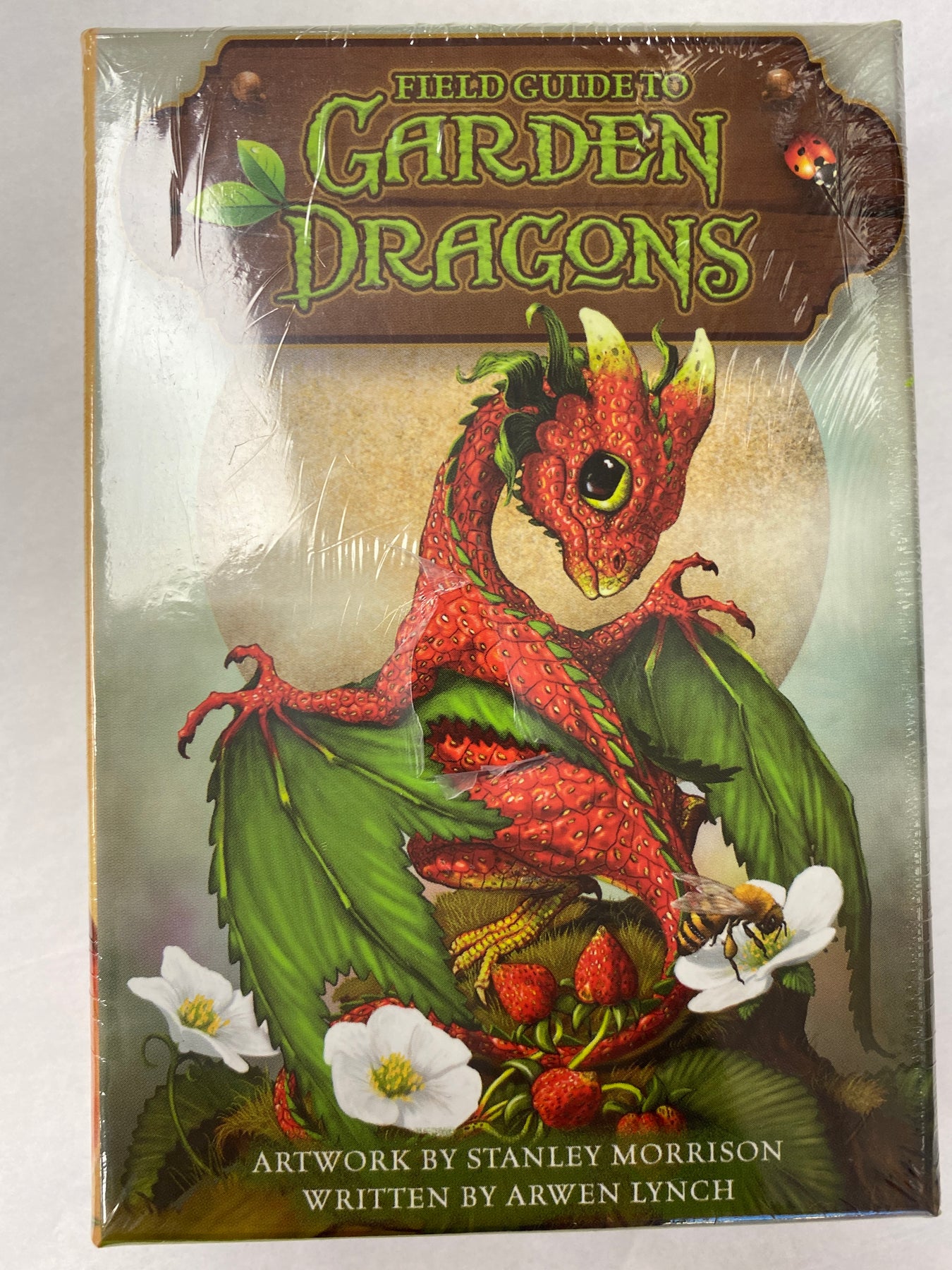 Field Guide To Garden Dragons Oracle – Merkaba Sol